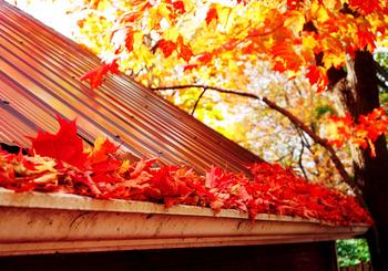 Fall Home Maintenance