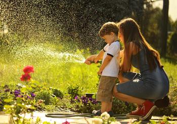 How to Water Your Lawn