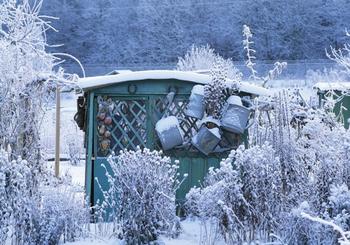 Get Your Garden Ready for Winter