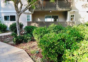Just Listed: 6333 College Grove Way Unit: 12106, San Diego