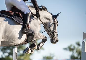 Live the Equestrian Life in Rancho Santa Fe