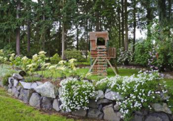 Determining the Landscaping for Your Home