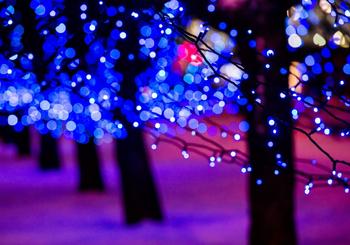 Head to Andersonville on December 13 for the Annual St. Lucia Festival of Lights