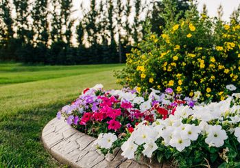 How to Add Value and Beauty to Your Front Yard Landscape