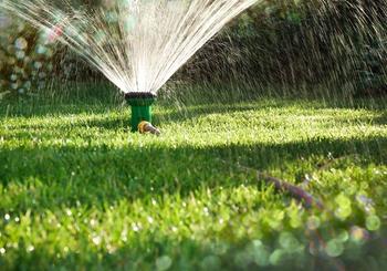 How to Water Your Lawn