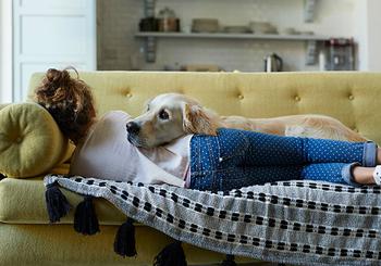 Why Pet-Friendly Homes Are In High Demand