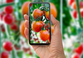 Best Garden Apps