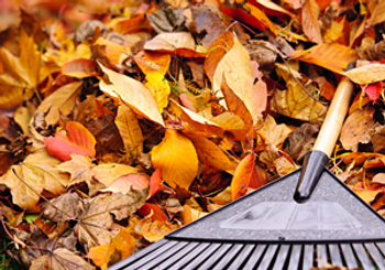 Maintaining Your Home in Changing Seasons