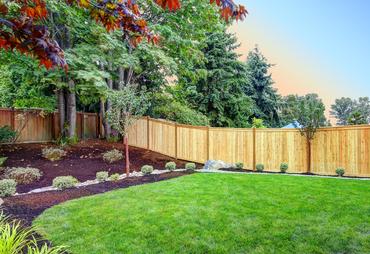 Budget Backyard Privacy Ideas