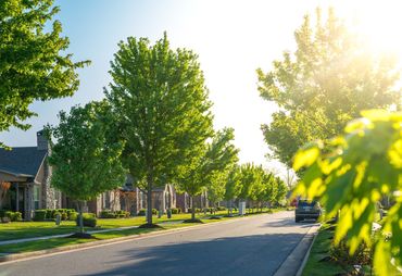 Don’t Believe These Myths About the Suburbs