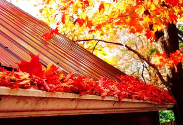 Fall Home Maintenance