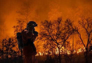 Protecting Your Home From Wildfires