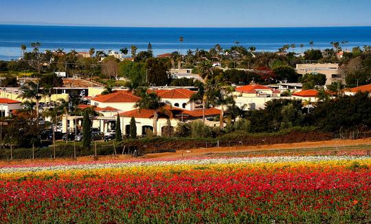 Carlsbad