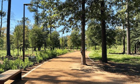 Rice Military / Washington Avenue Corridor