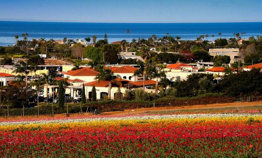 Carlsbad