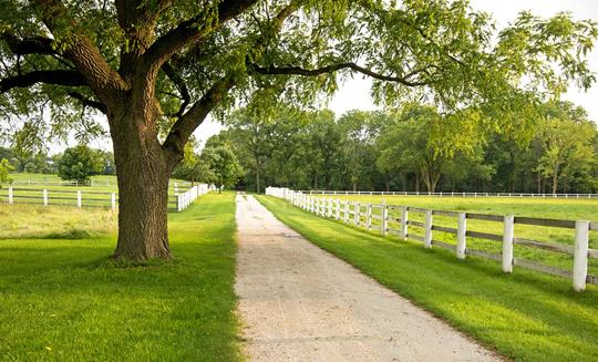 Nellie Gail Ranch