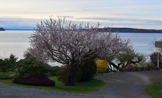 Anderson Island/ Ketron Island