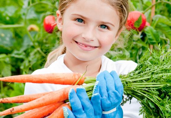 Starting a Coronavirus Victory Garden