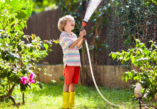 Save Water In Your Garden