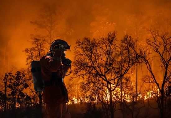 Protecting Your Home From Wildfires