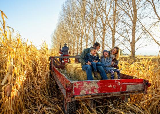 15 Farms & Attractions for Classic Fall Fun