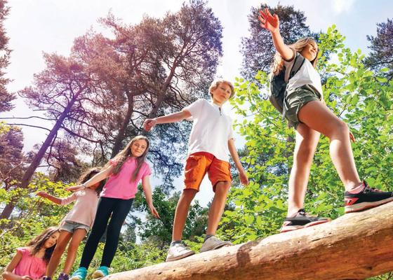 Explore the Main Line Region’s Many Summer Camps