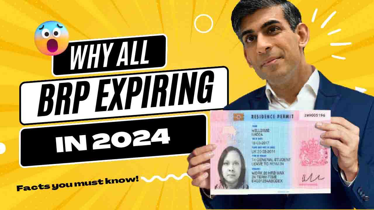Check Your BRP For 31st December 2024 Expiry Visa And Immigrations