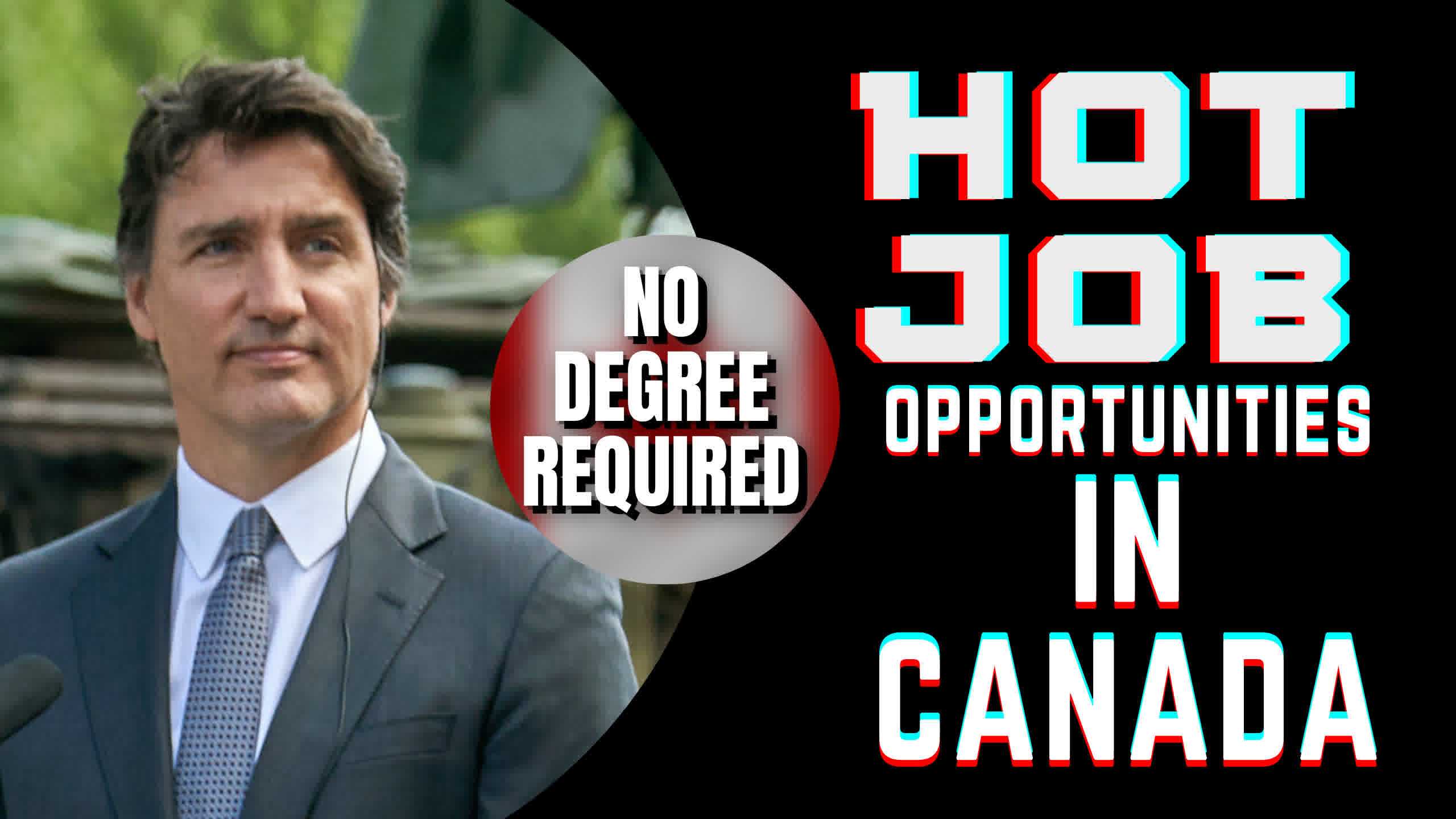 No Degree No Problem Canada S Hottest Jobs For Secondary School   No Degree Required Canadas Hottest Jobs Announced 