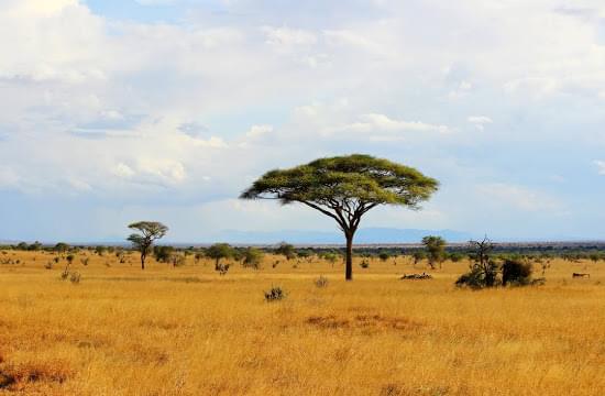 Landscape view of Kenya