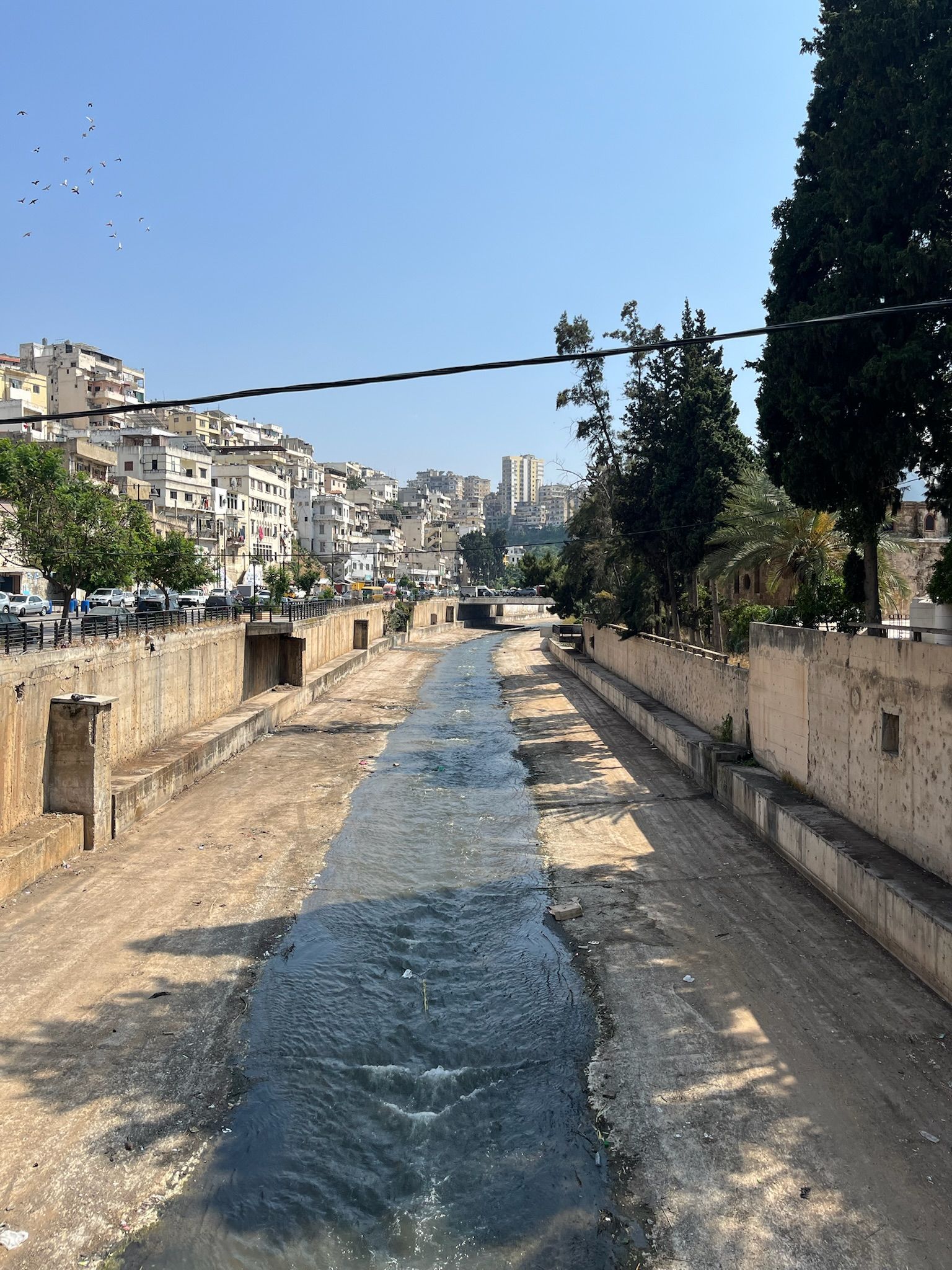Abou Ali River | Visit Tripoli