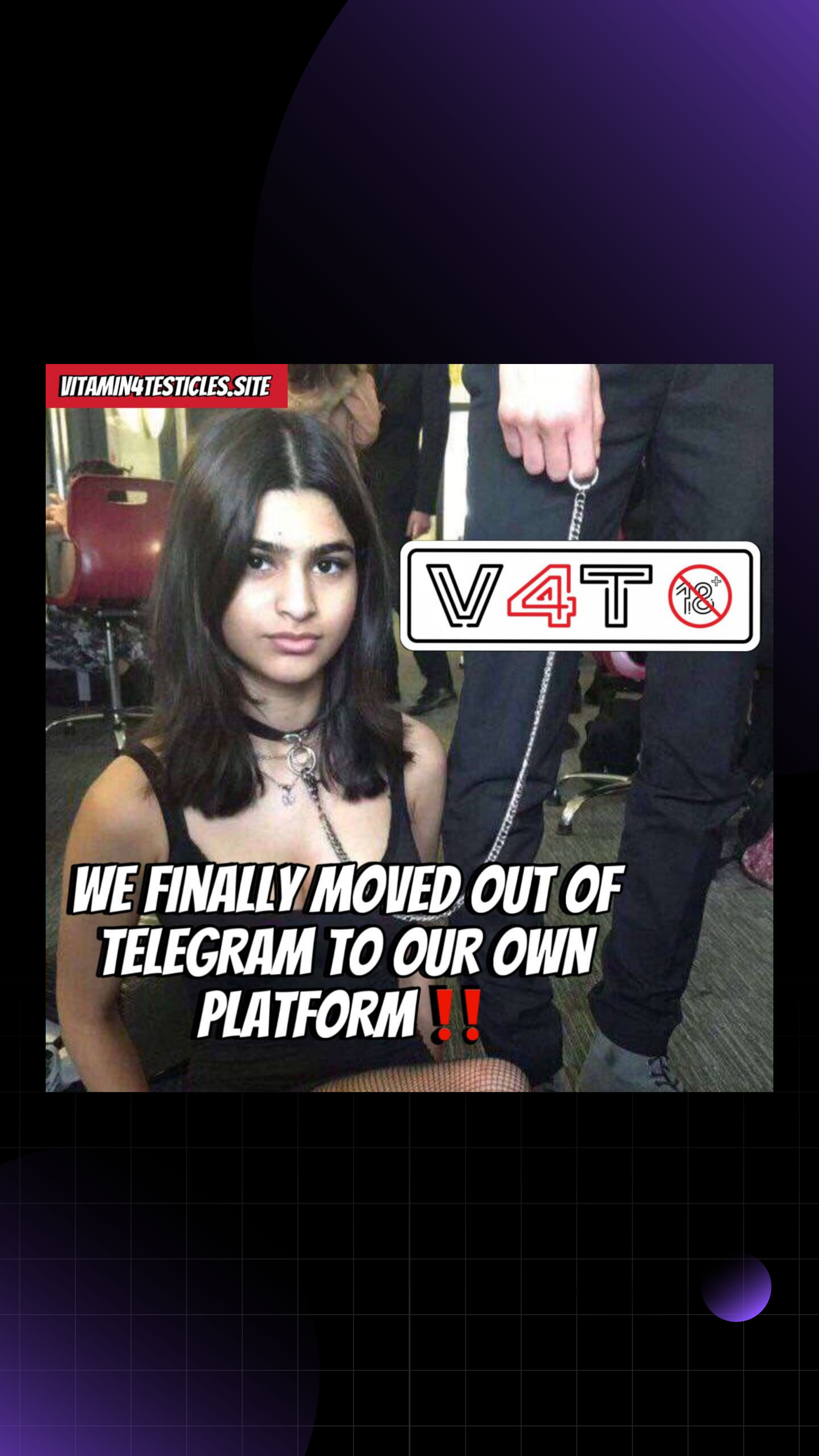 V4T Telegram