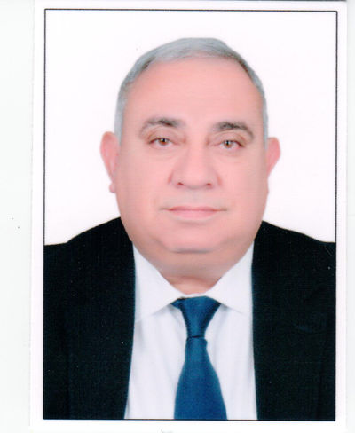 Prof. Amr El Sammak