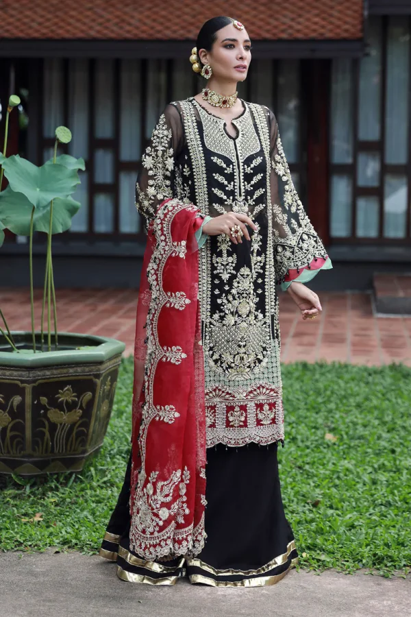 ENAARA FESTIVE COLLECTION