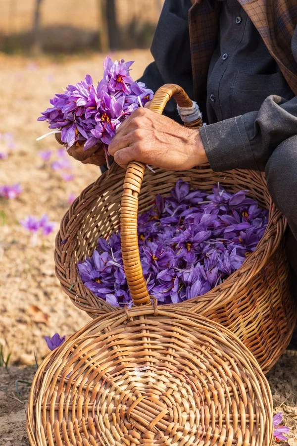 Kashmiri Products