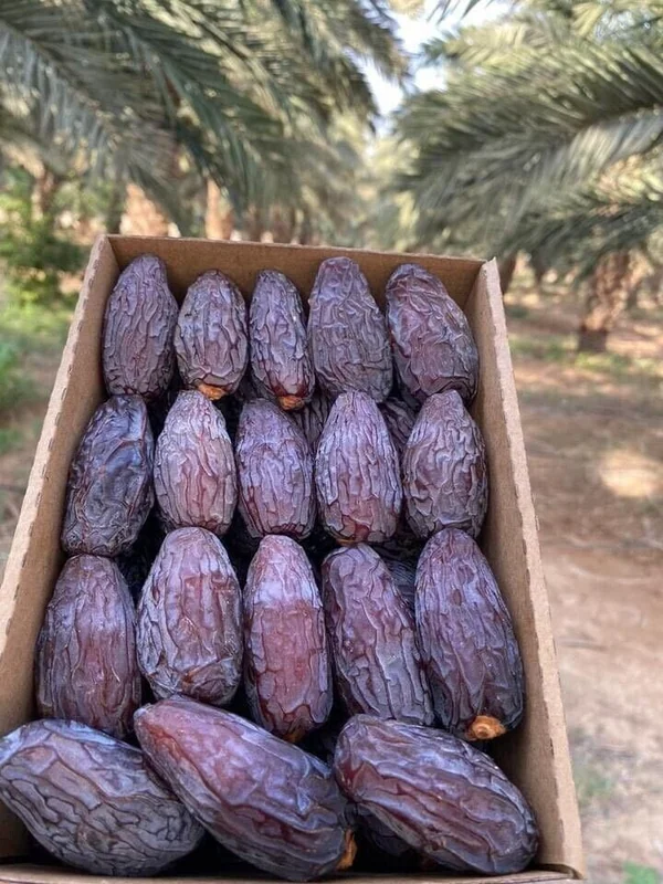 medjool dates
