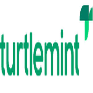 Turtlemint Fintech Solutions
