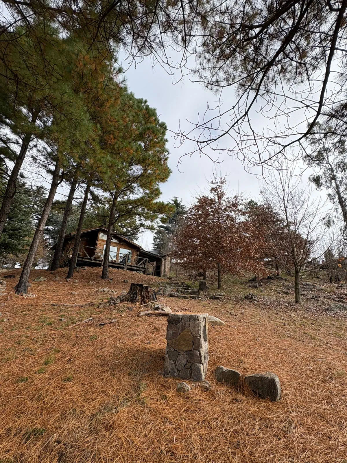 Cabañas Los Arboles