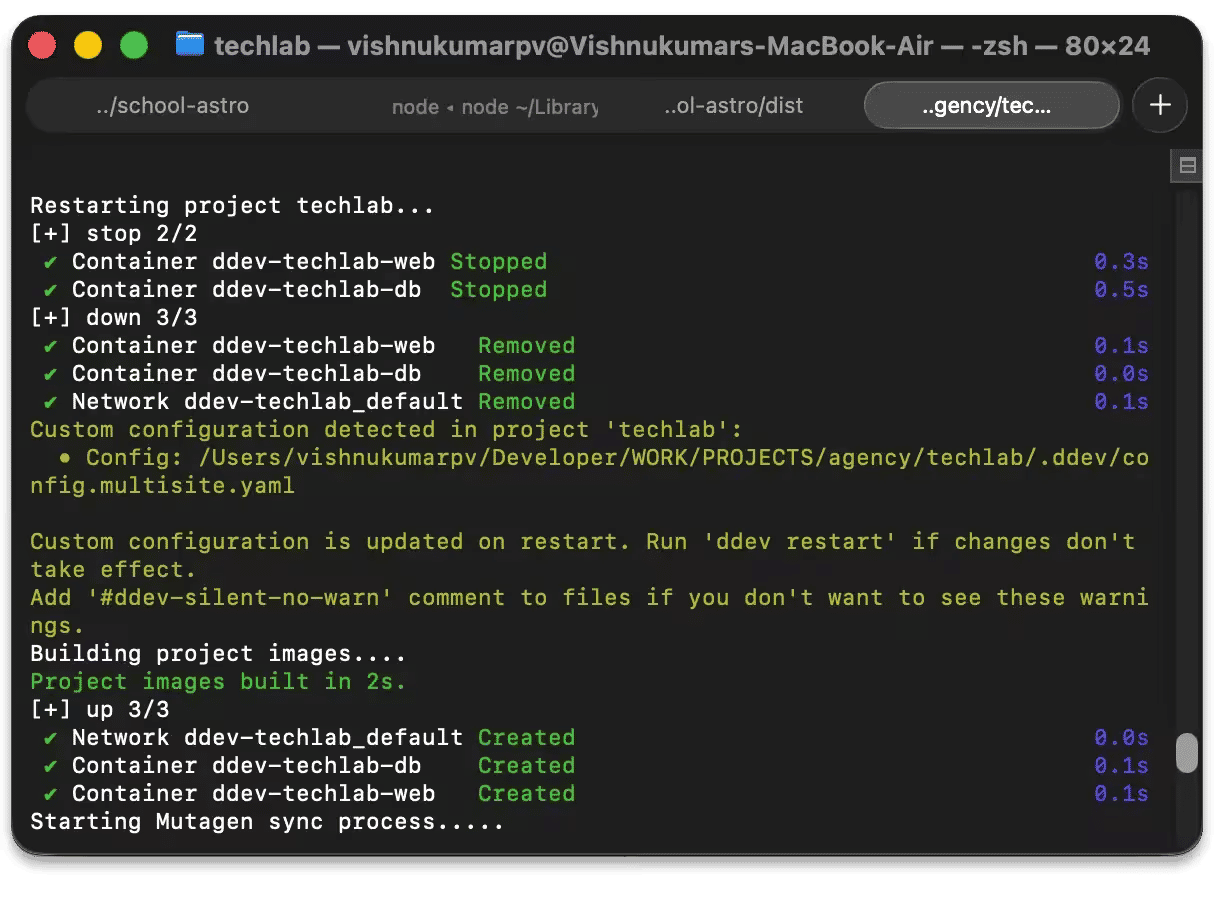 DDEV terminal