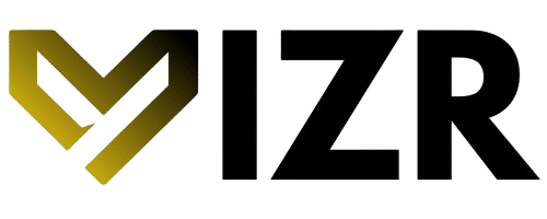 Vizr LLC Logo