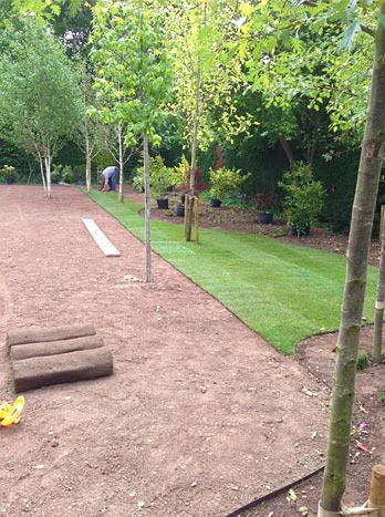 Gardening image 5