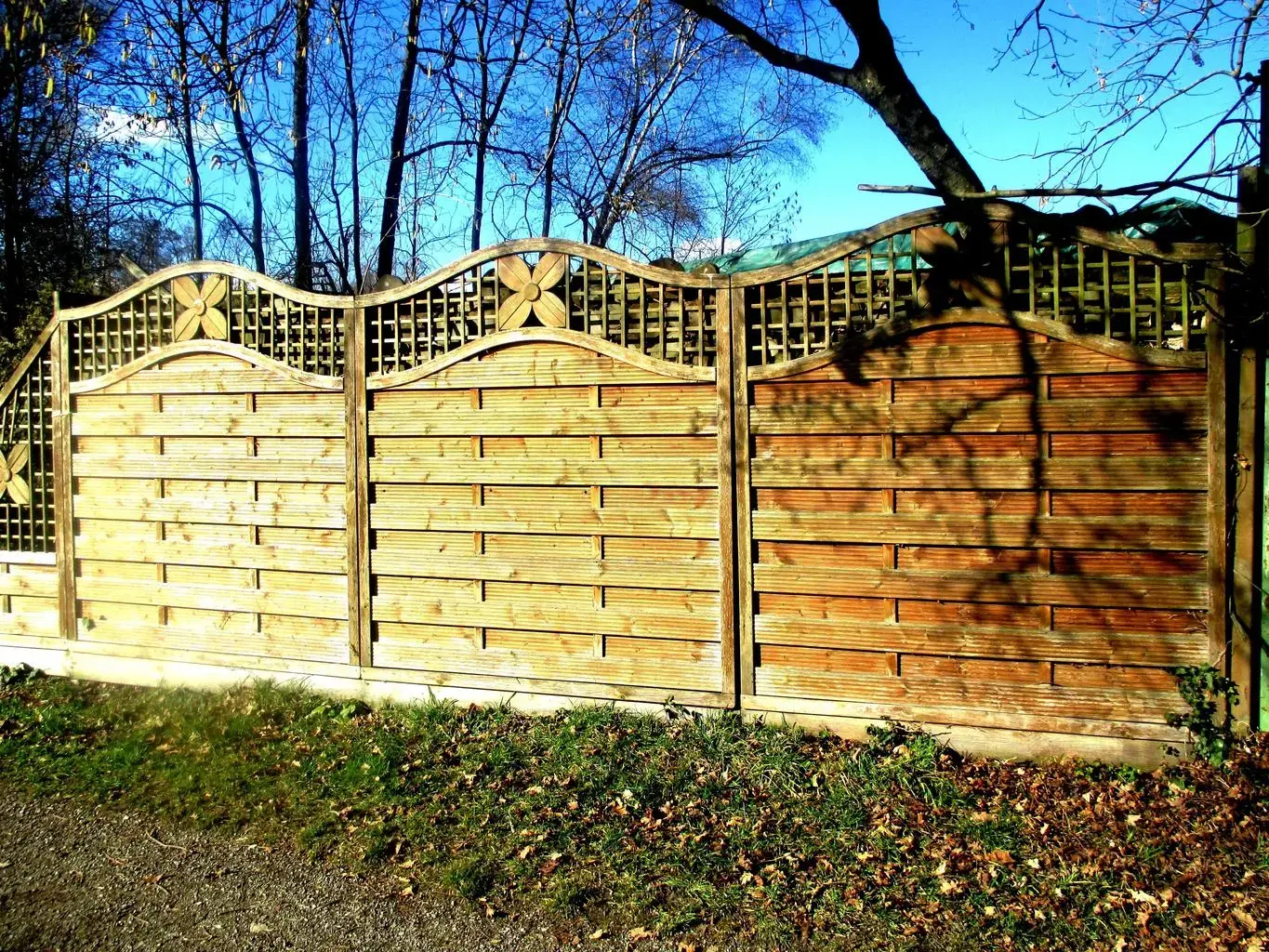 Fencing image 6