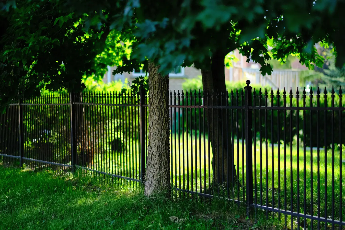 Fencing image 7