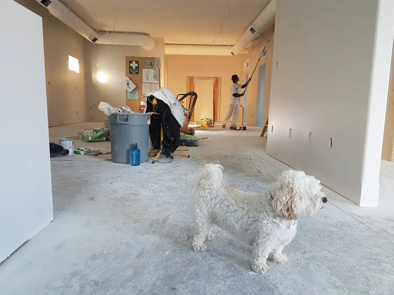 Rendering image 8
