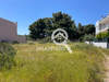 Image 2 of 3
