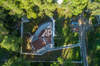 Image 8 of 38