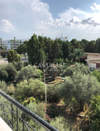 Image 9 of 11
