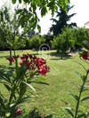 Image 3 of 14