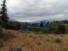 Image 8 of 17