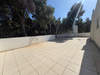 Image 7 of 45