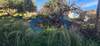 Image 10 of 11